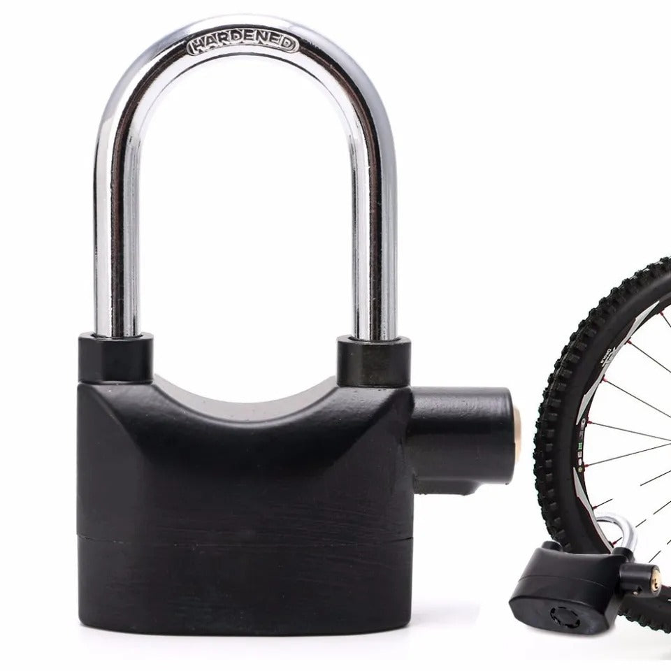 Anti-Theft Alarm Lock-2pcs