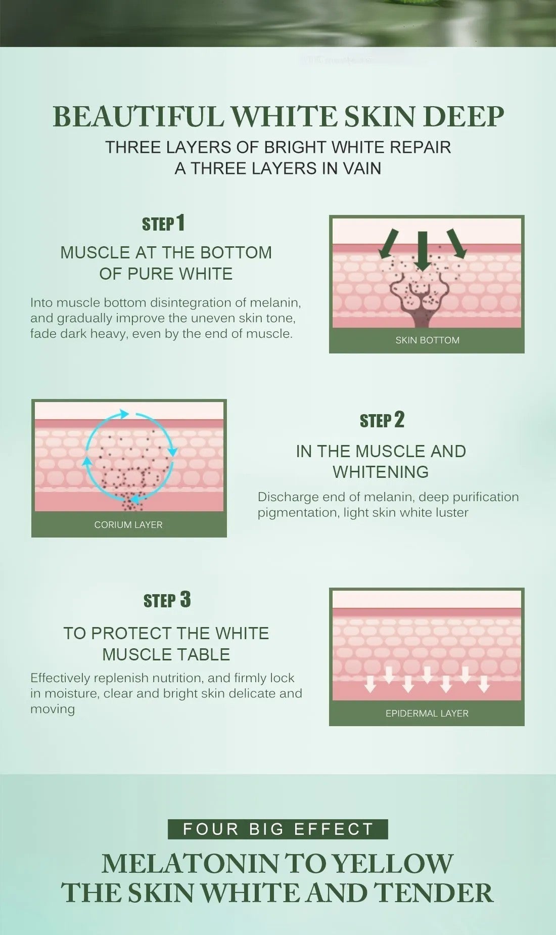 BAIZTON Whitening Anti Freckle Cream (Facial) - China To BD Web