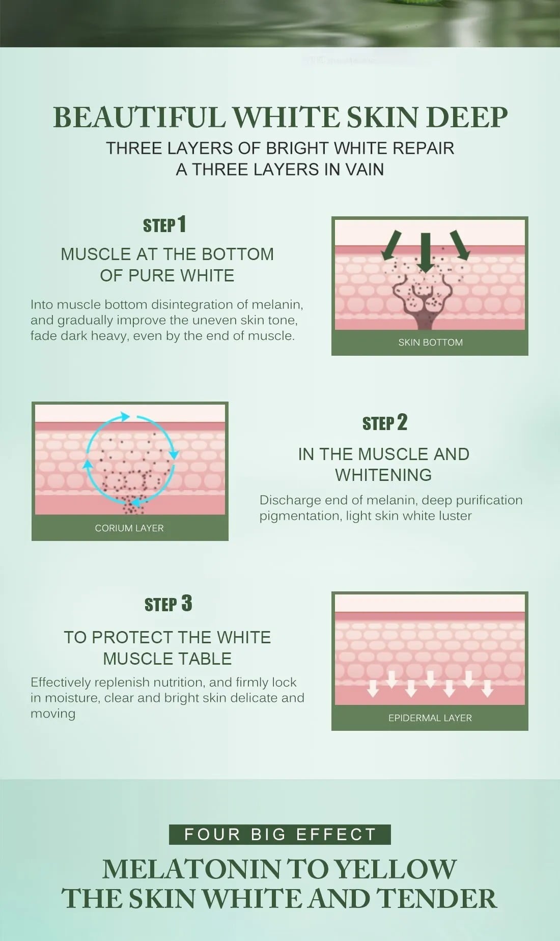 BAIZTON Whitening Anti Freckle Cream (Facial) - China To BD Web