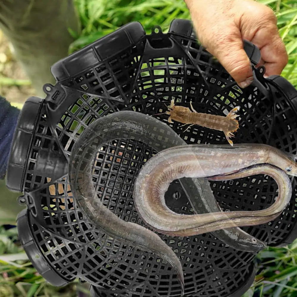 ( ১ পিচ ) Fishing Trap Cage for Shrimp Loach Eel Crab and Small Fish - China To BD Web