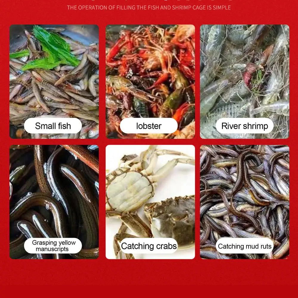 ( ২ পিচের সেট ) Fishing Trap Cage for Shrimp Loach Eel Crab and Small Fish - China To BD Web