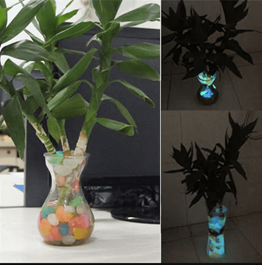 ( ৫০০ পিচ ১০০০ টাকা ) Mixed Luminous Stones