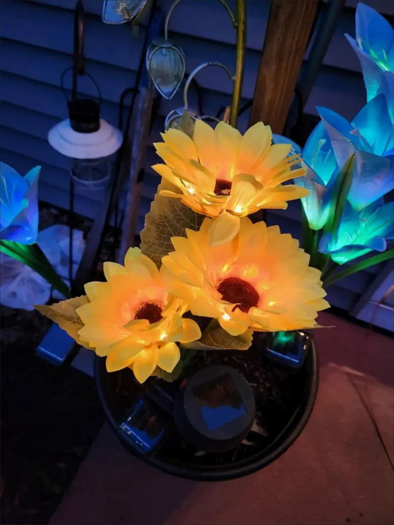 ( ১ পিচ সোলার লাইট ) Three Head Solar Sunflower Light LED - China To BD Web