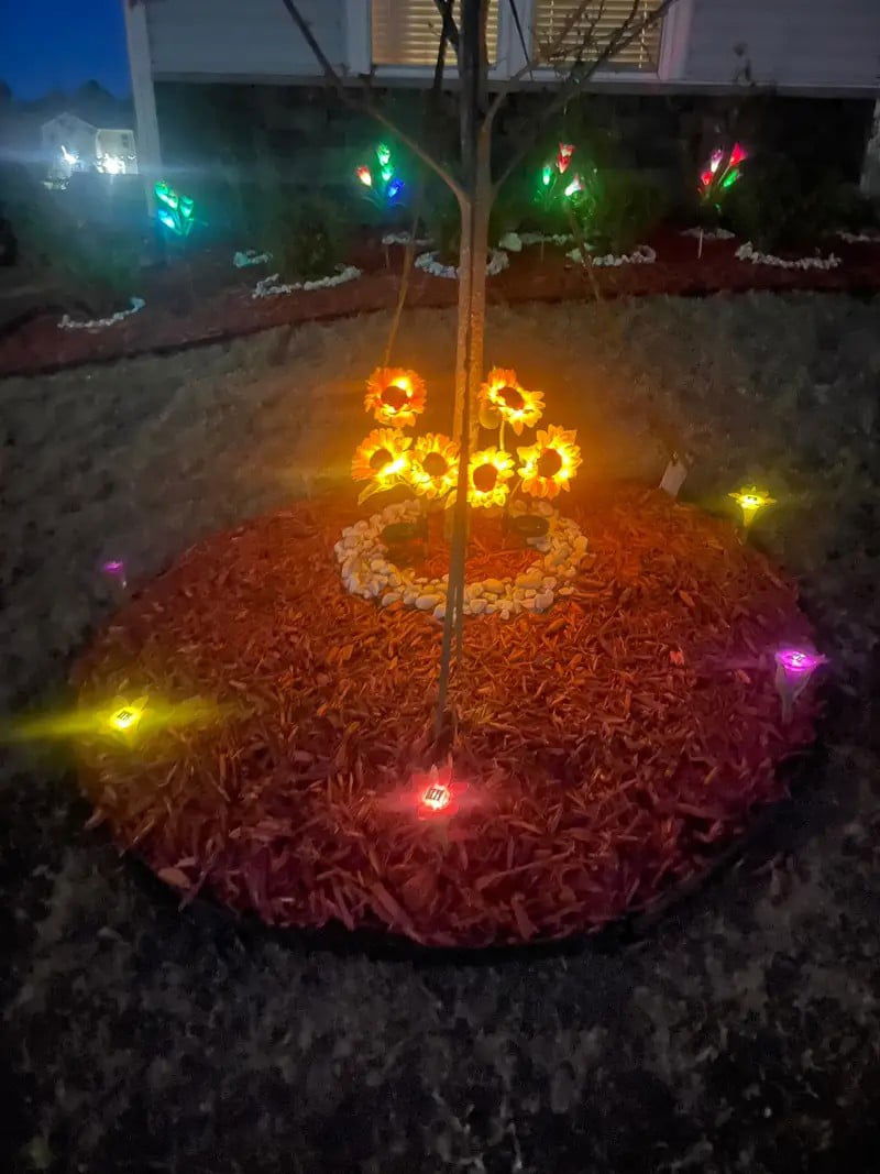 ( ১ পিচ সোলার লাইট ) Three Head Solar Sunflower Light LED - China To BD Web