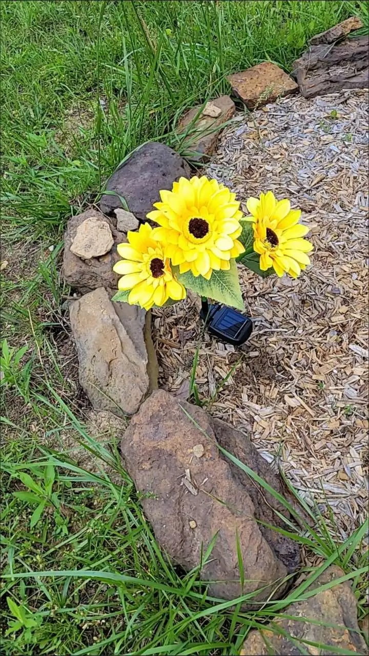 ( ১ পিচ সোলার লাইট ) Three Head Solar Sunflower Light LED - China To BD Web