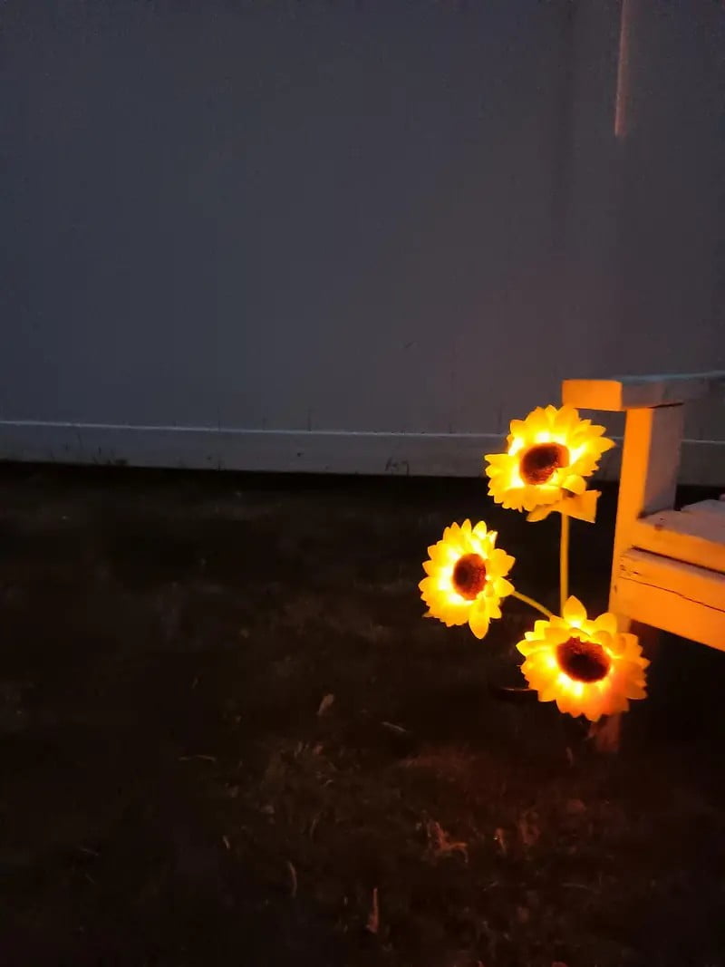 ( ৩ পিচের সেট সোলার লাইট ) Three Head Solar Sunflower Light LED - China To BD Web