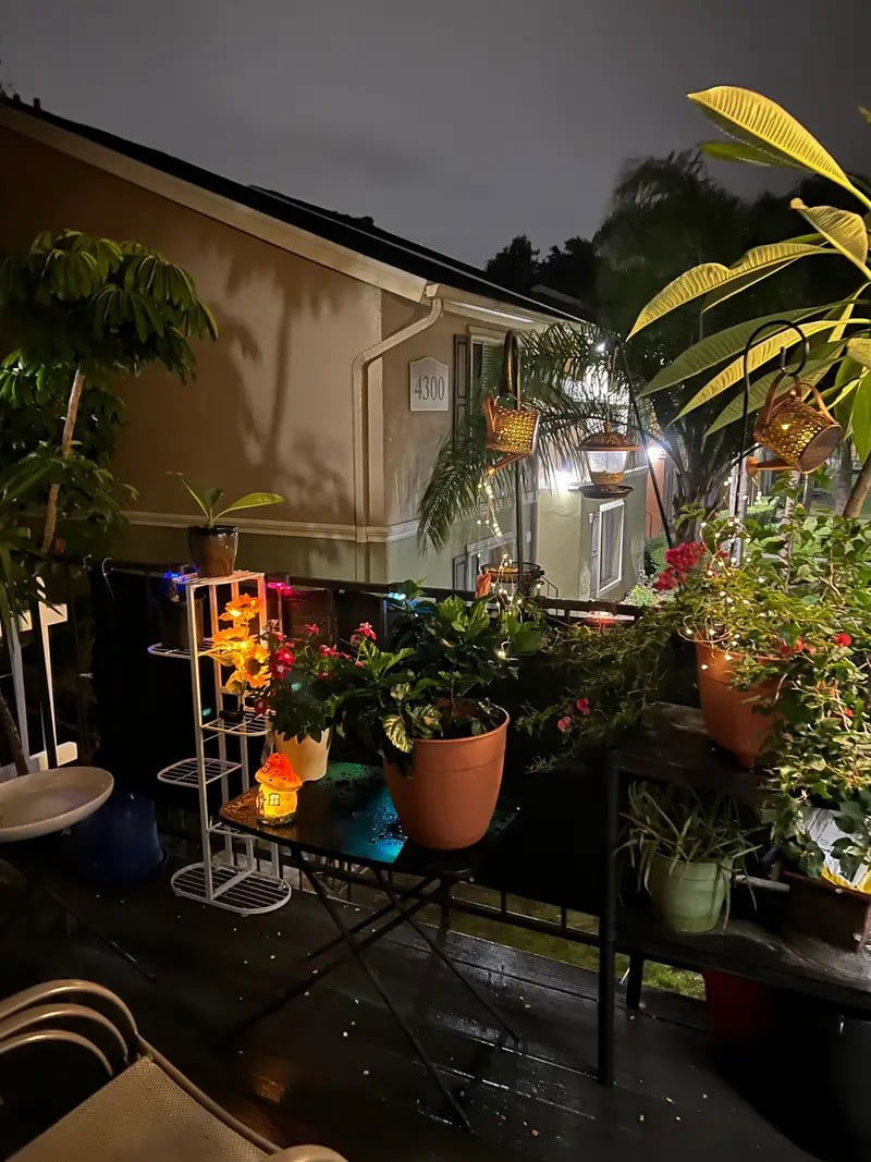 ( ৫ পিচের সেট সোলার লাইট ) Three Head Solar Sunflower Light LED - China To BD Web