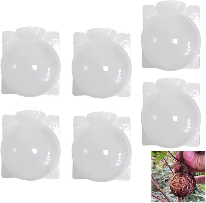 Plant Rooting Box-10 pcs