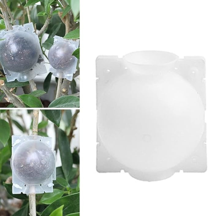 Plant Rooting Box-20 pcs