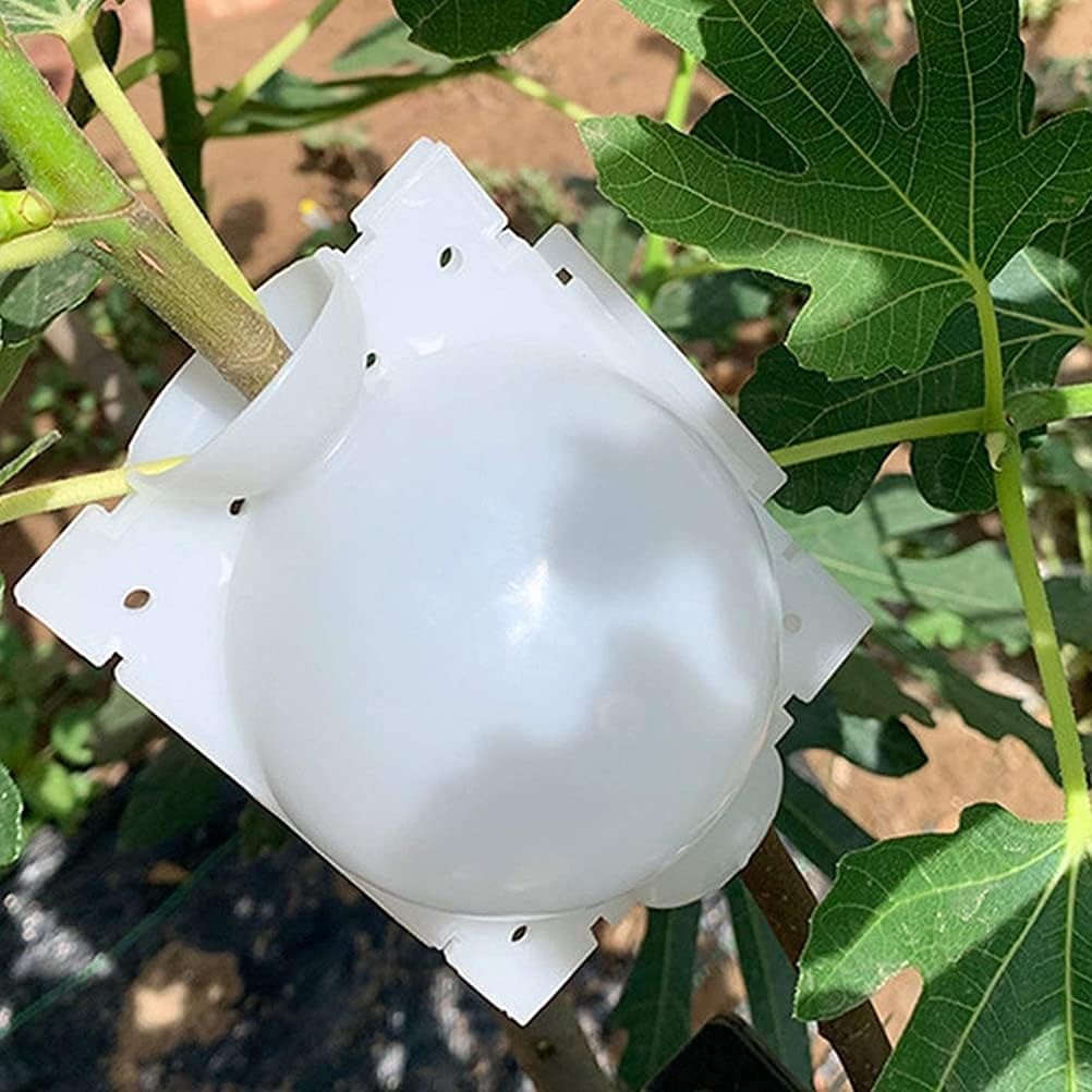 Plant Rooting Box-30 pcs